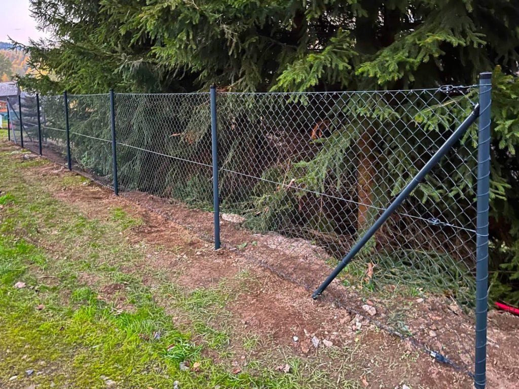 Čtyřhranné pletivo podél lesa, Zlatá Olešnice, Ploty Dobrý