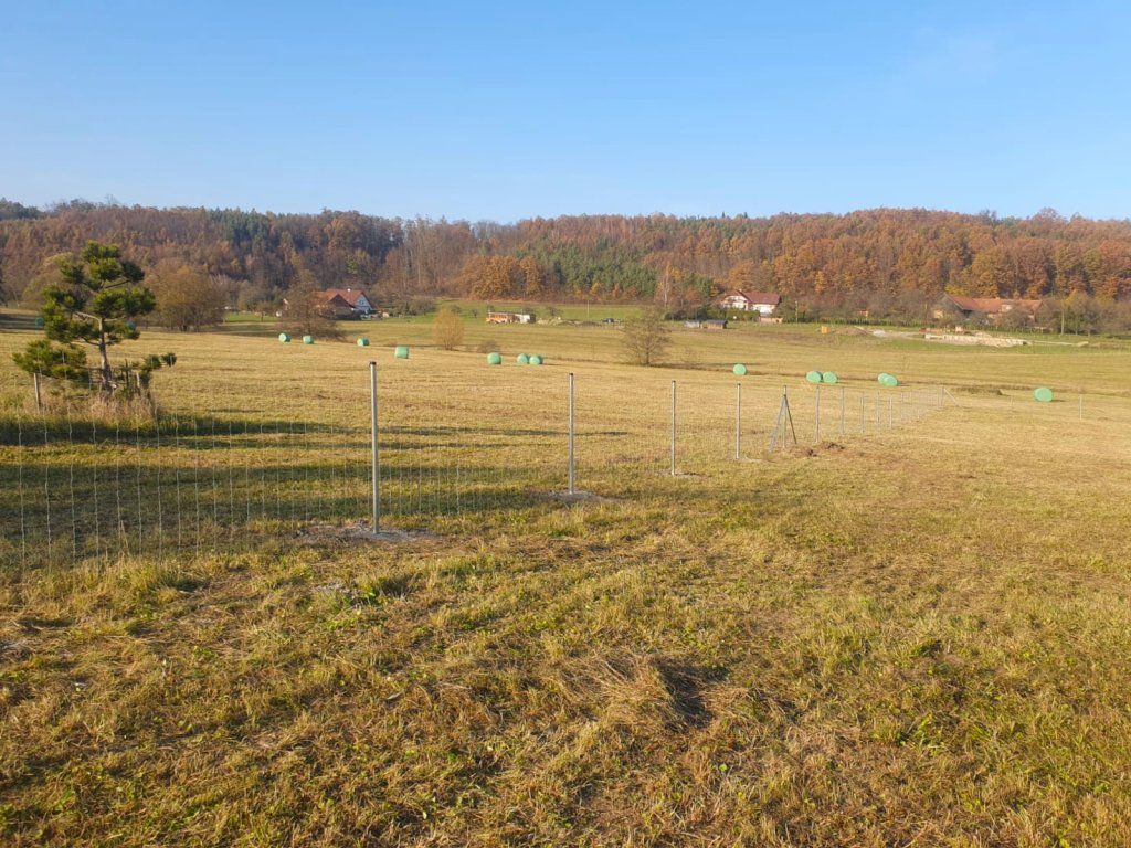 Pozinkované lesnické uzlové pletivo kolem pastviny, Rychnov nad Kněžnou, Ploty Dobrý