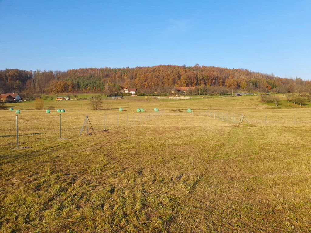 Lesnické pletivo kolem pastviny, realizace Rychnov nad Kněžnou