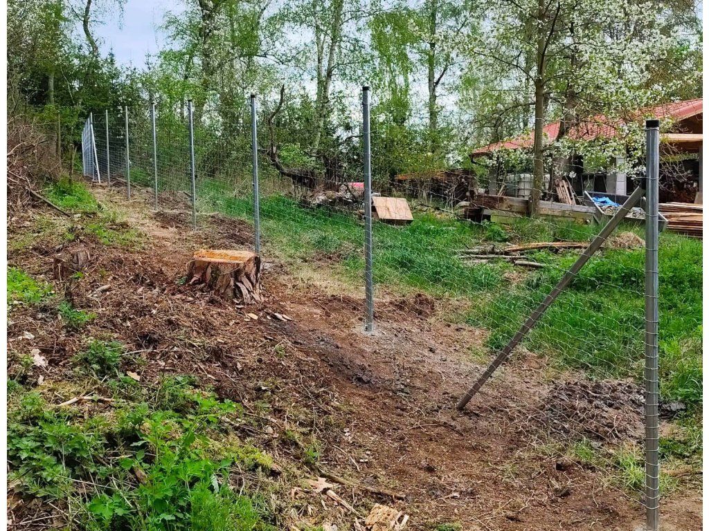 Lesnické uzlové pletivo v lesním porostu, realizace Hlubyně